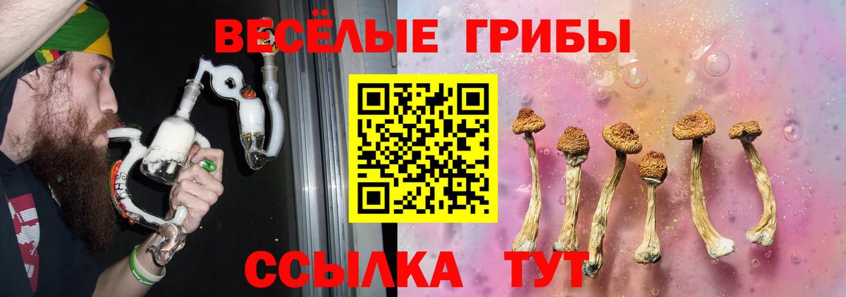 Псилоцибиновые грибы MAGIC MUSHROOMS Керчь