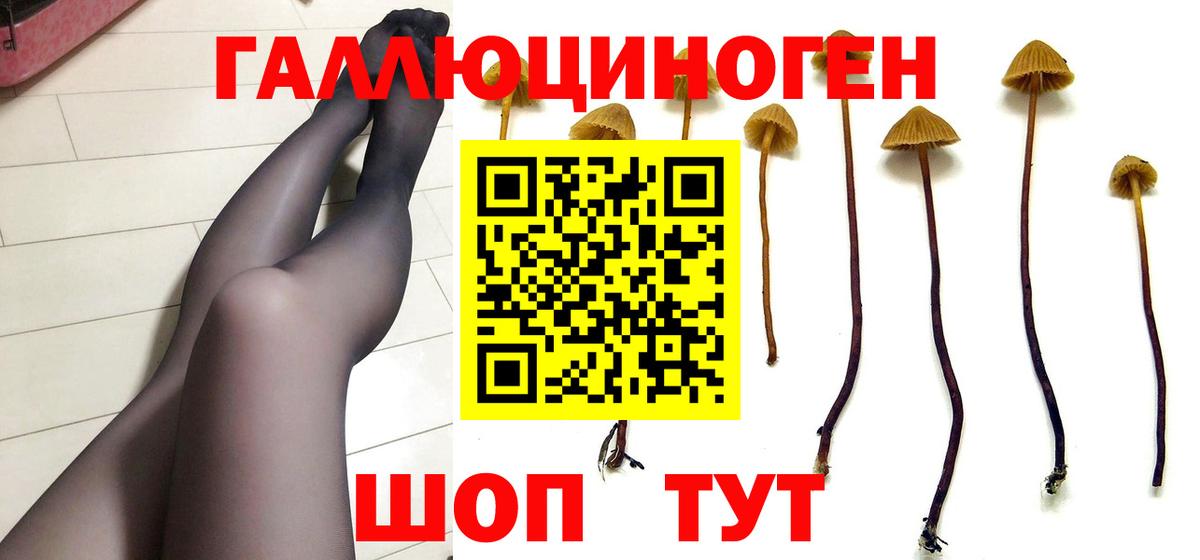 Керчь  Галлюциногенные грибы Psilocybe  Вход с VPN  Галлюциногенные грибы Cubensis 